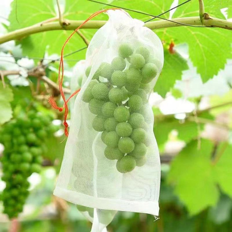 Fruit Protection Bags, Fruit Bags for Fruit Trees Fruit Netting Bags with Drawstring Fruit Tree Bags for Protecting Fruits Vegetables, MOQ: 100