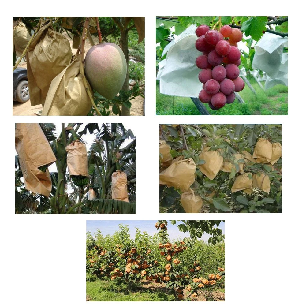 Fruit Protection Bag Mango Growing Protection Paper Bag