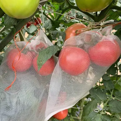 Bolsas de protección de frutas, Bolsas de frutas para árboles frutales Bolsas de red para frutas con cordón Bolsas para árboles frutales para proteger frutas y verduras, MOQ: 100