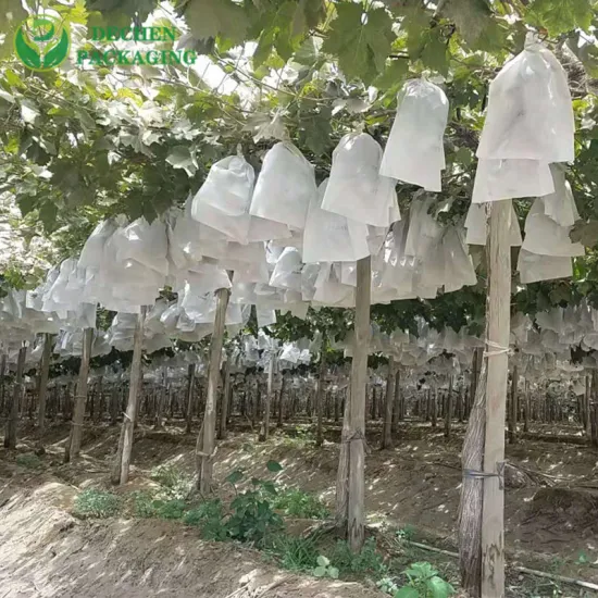 Granada Envoltura Protección UV Bolsa De Papel Uva Fruta