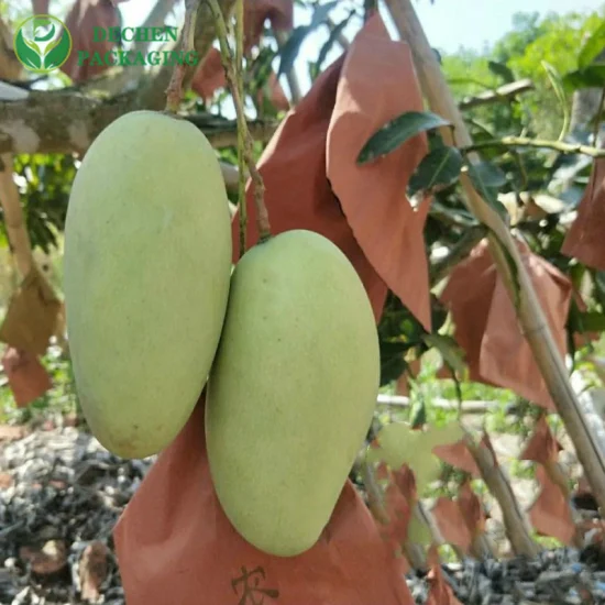 Bolsa de paquete de protección para cultivo de frutas con bolsas impermeables de cubierta de mango de doble capa