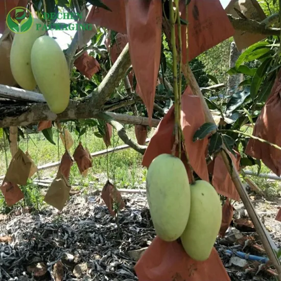 La protección creciente impermeable de la fruta empaqueta el bolso de la cubierta del hombro del papel del mango